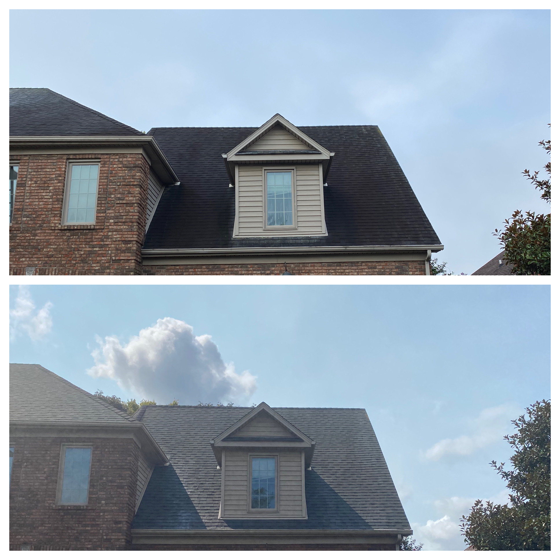 What color is my roof